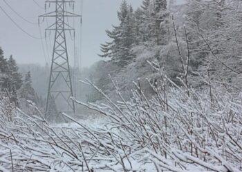 Over a million people are losing power during a freezing snowstorm while data centers nearby guzzle electricity