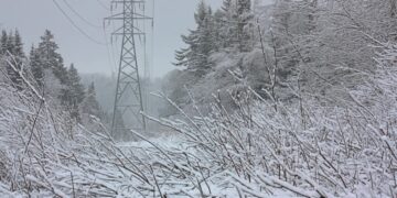 Over a million people are losing power during a freezing snowstorm while data centers nearby guzzle electricity