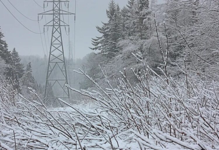 Over a million people are losing power during a freezing snowstorm while data centers nearby guzzle electricity