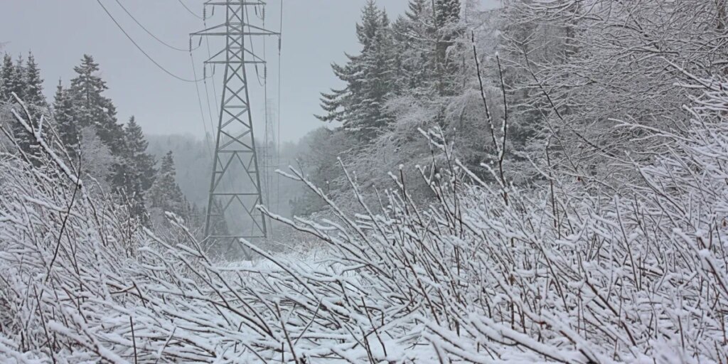 Over a million people are losing power during a freezing snowstorm while data centers nearby guzzle electricity