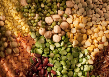 Why this nutrient is great for your gut health