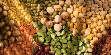 Why this nutrient is great for your gut health