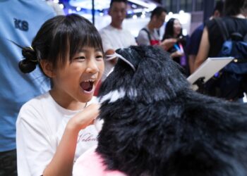Young people in China have a new alternative to marriage and babies: AI pets