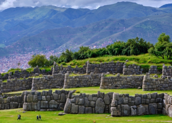 How Bird Poop Helped Make Ancient Peru a Superpower