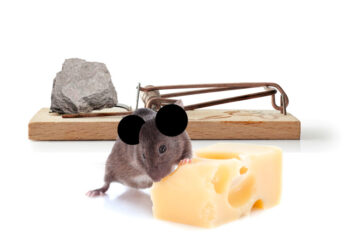 A new ruler for the Magic Kingdom