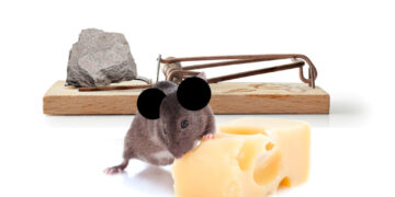 A new ruler for the Magic Kingdom