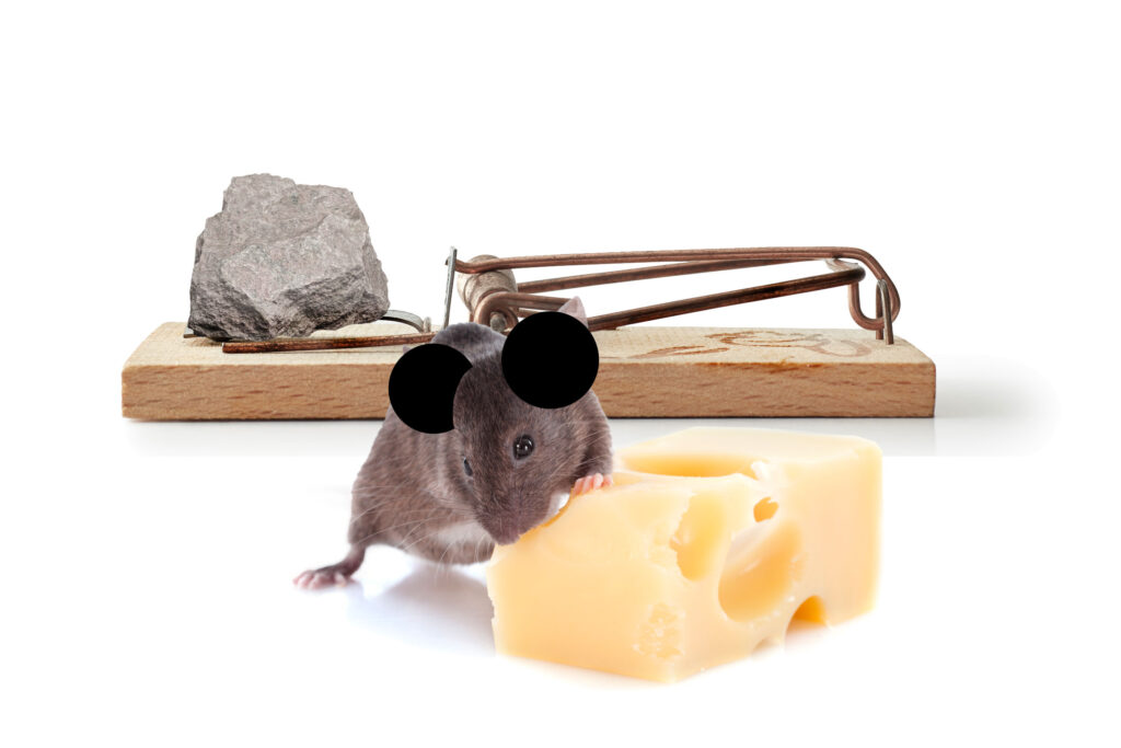 A new ruler for the Magic Kingdom