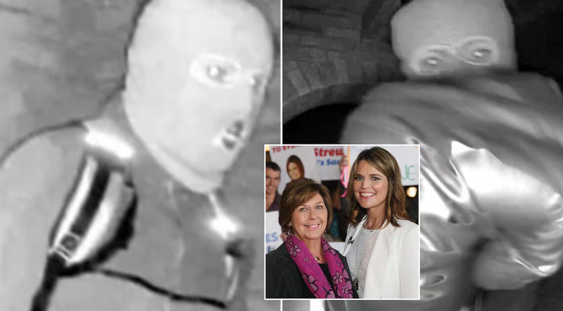 Chilling New Images Recovered From Lost Nancy Guthrie Footage