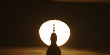 Cat Stevens in my house means one thing