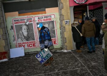 Renée Good’s siblings to testify at congressional hearing on ICE tactics