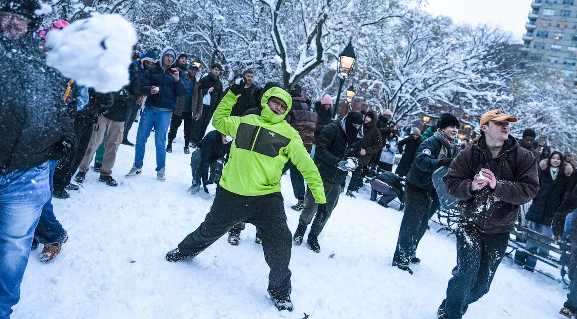 Cops Pelted With Snowballs and Injured in NYC Park During Blizzard