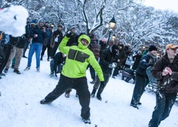 Cops Pelted With Snowballs and Injured in NYC Park During Blizzard