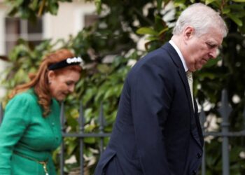 The Epstein files have brought a wave of resignations and investigations