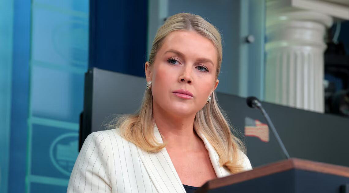 Leavitt Cornered on Trump and Vance’s Social Media ‘Problem’