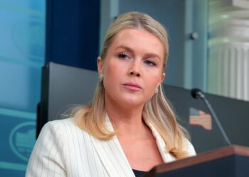 Leavitt Cornered on Trump and Vance’s Social Media ‘Problem’