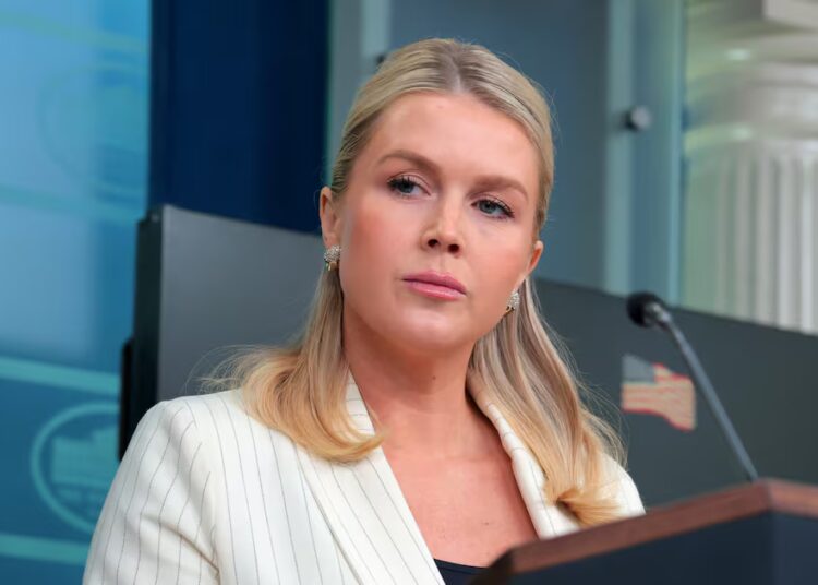 Leavitt Cornered on Trump and Vance’s Social Media ‘Problem’