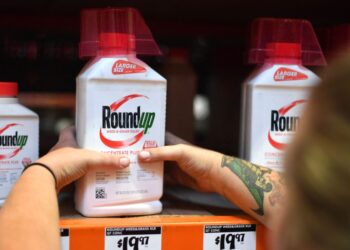 Trump order to promote weedkiller sparks fury in MAHA movement