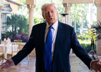 Pollster Reveals MAGA Is Splitting From Trump on Key Issue