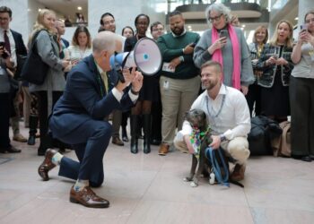 One week into DHS shutdown, dogs in costume parade through the Senate