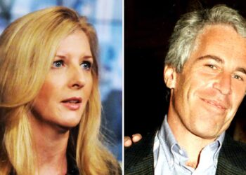Top Female Lawyer Pays Price for Getting Epstein’s Vile Emails