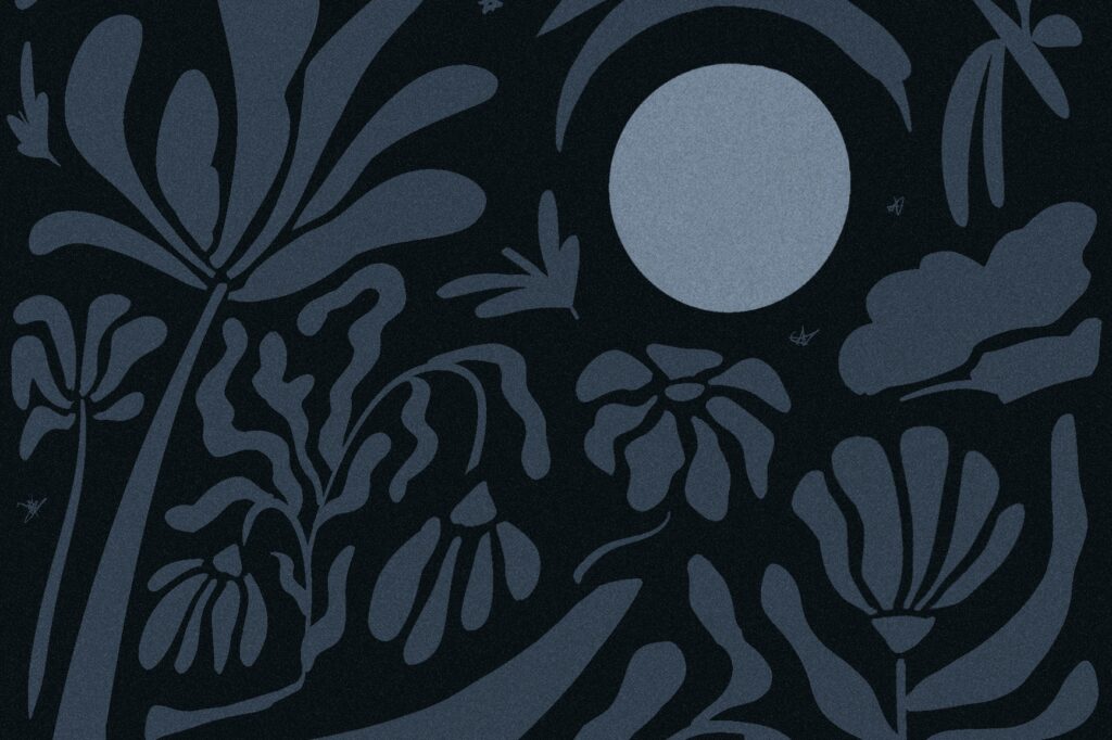 The case for keeping your garden dark at night