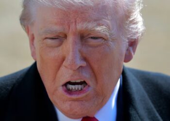 MAGA Exile Reveals Trump’s Secret Midterm Plan