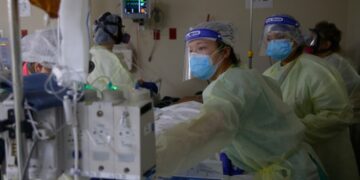 The one industry powering the U.S. labor market