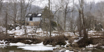A Potomac island was their haven. A sewage spill made it unreachable.