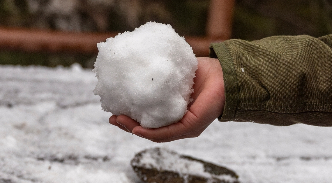 NYC Blizzard Led to a Massive Snowball Fight, and an Arrest