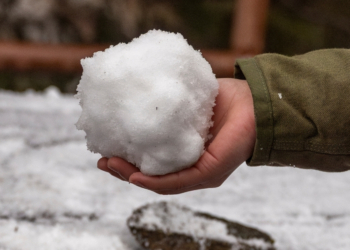 NYC Blizzard Led to a Massive Snowball Fight, and an Arrest