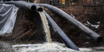 Trump approves D.C. emergency declaration in response to Potomac sewage spill