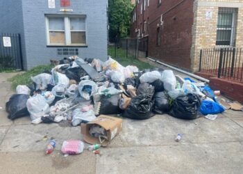 Using a law deployed against mob bosses, D.C. files suit against a landlord