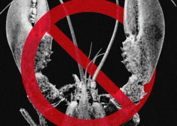 Meta and Other Tech Companies Ban OpenClaw Over Cybersecurity Concerns