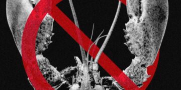 Meta and Other Tech Companies Ban OpenClaw Over Cybersecurity Concerns