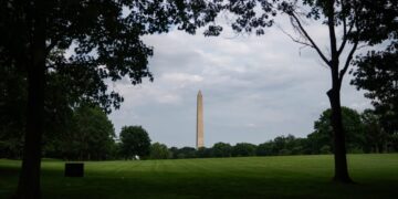 Driver who tore up National Mall sentenced to 18 months