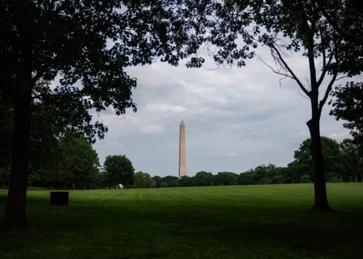 Driver who tore up National Mall sentenced to 18 months