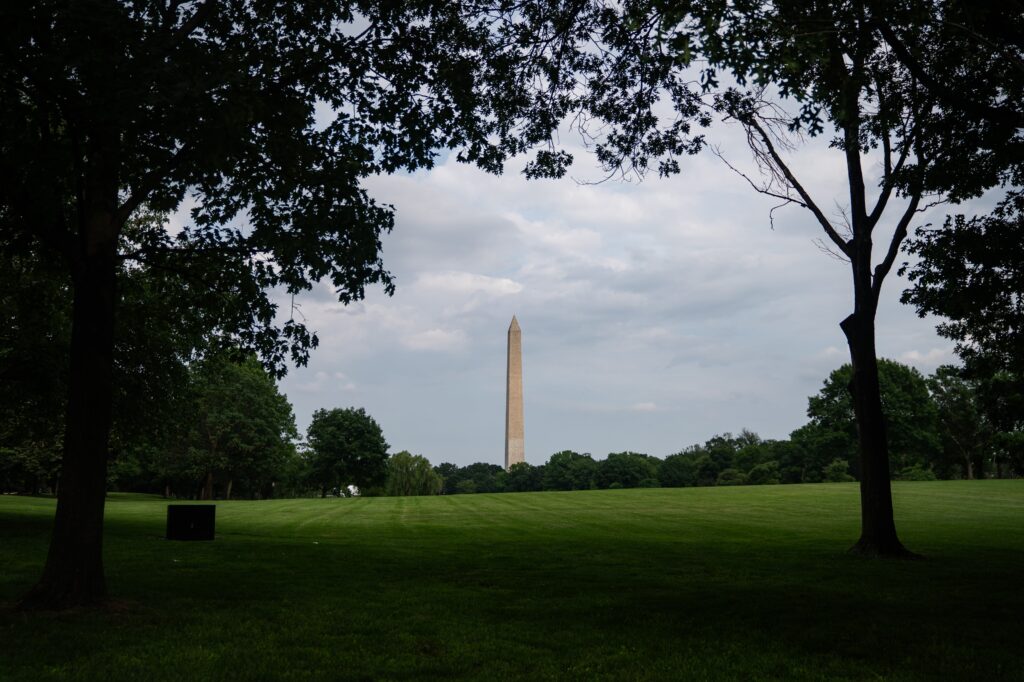 Driver who tore up National Mall sentenced to 18 months