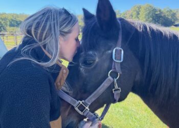 Meet Fancy, 37, the world’s oldest horse — and her lifelong caretaker