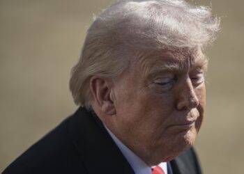 Defiant Nobel Peace Prize Institute Reacts to Trump’s Incessant Whining