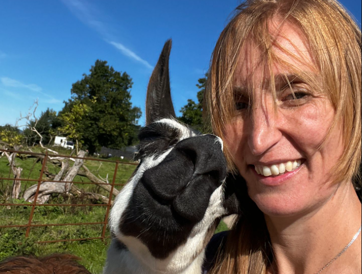A man was running from police. Eight llamas caught him.