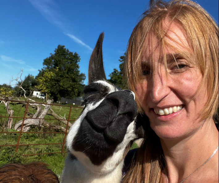 A man was running from police. Eight llamas caught him.