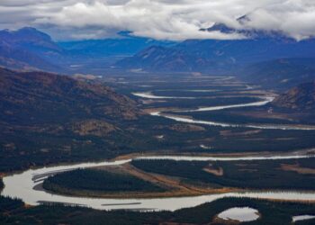 I left Alaska for opportunity. Trump gives me hope I can go home.