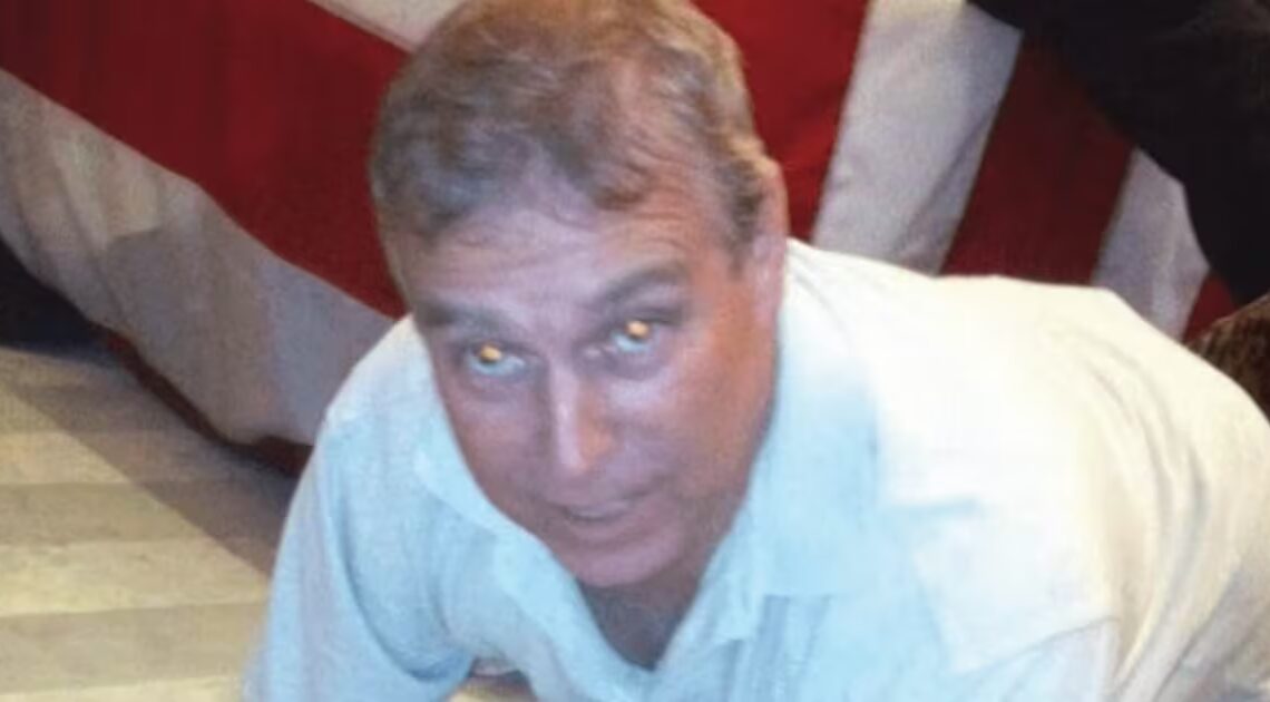 Dem Makes Shock Claim About Identity of Woman in Horrifying Andrew Photos