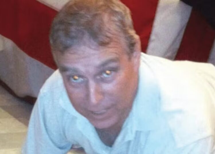 Dem Makes Shock Claim About Identity of Woman in Horrifying Andrew Photos