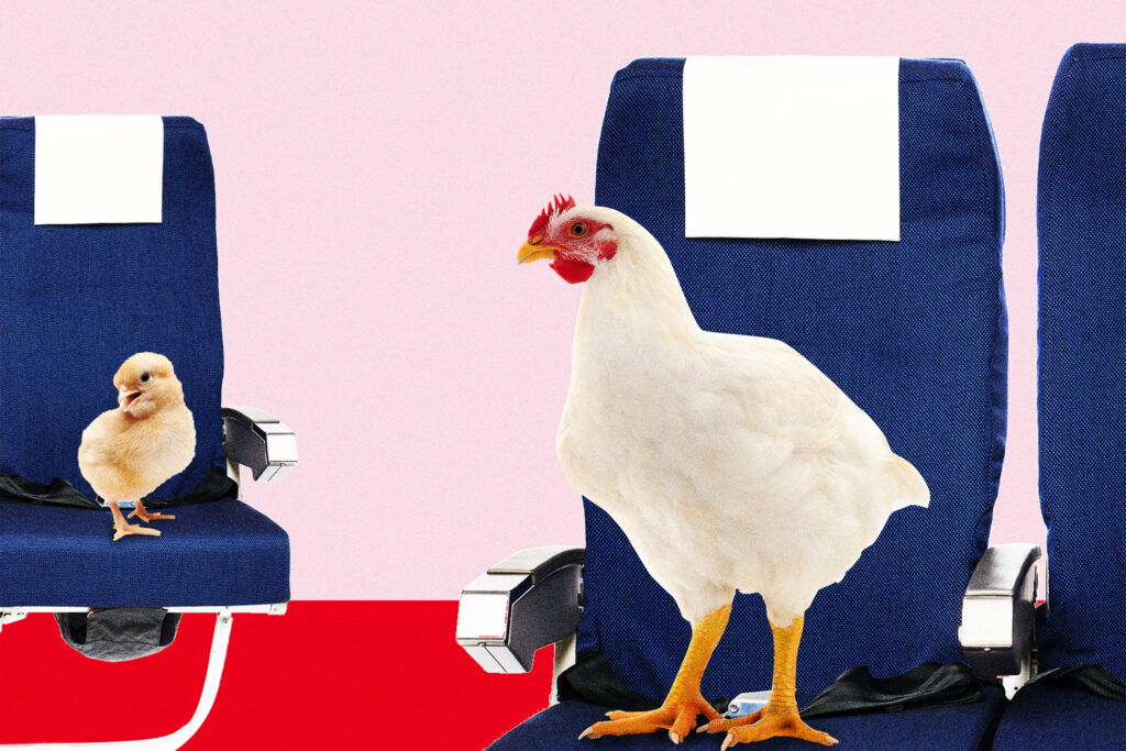 Families frustrated with airline seating: ‘A 2-year-old should sit with their parents’