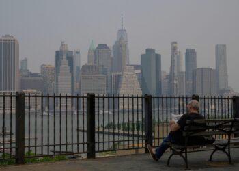 Progressives for news media regulation