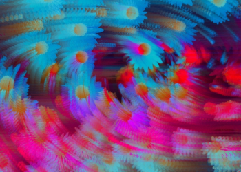 Scientists Just Watched a Brain Go on a Psychedelic Trip in Real Time