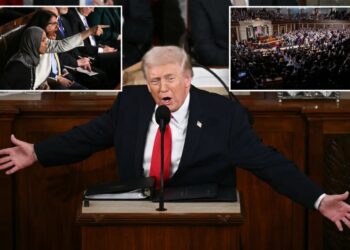 Trump blasts Democrats who refused to stand for protecting Americans over ‘illegal aliens’ at State of the Union: ‘You should be ashamed’