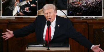 Trump blasts Democrats who refused to stand for protecting Americans over ‘illegal aliens’ at State of the Union: ‘You should be ashamed’