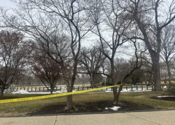 Teen arrested after approaching U.S. Capitol with loaded shotgun